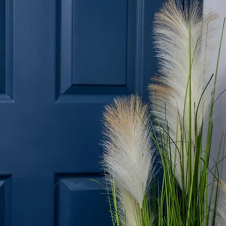 Coral Reef * ويتبي