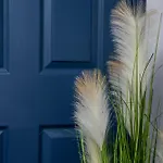 Coral Reef * Γουίτμπι